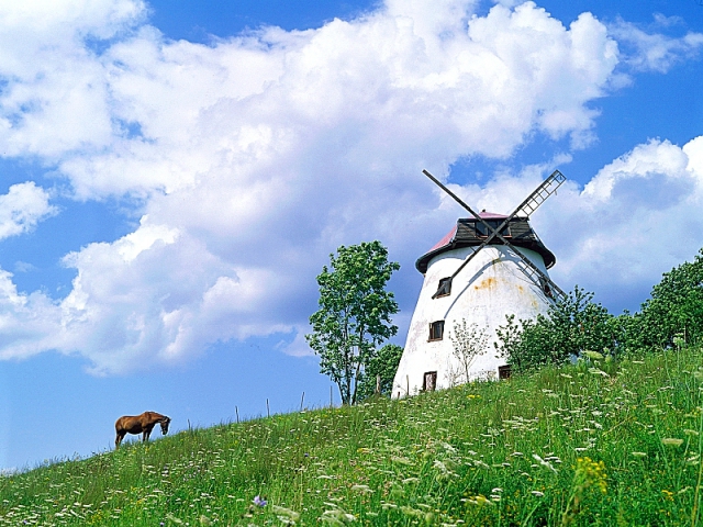 Мазура