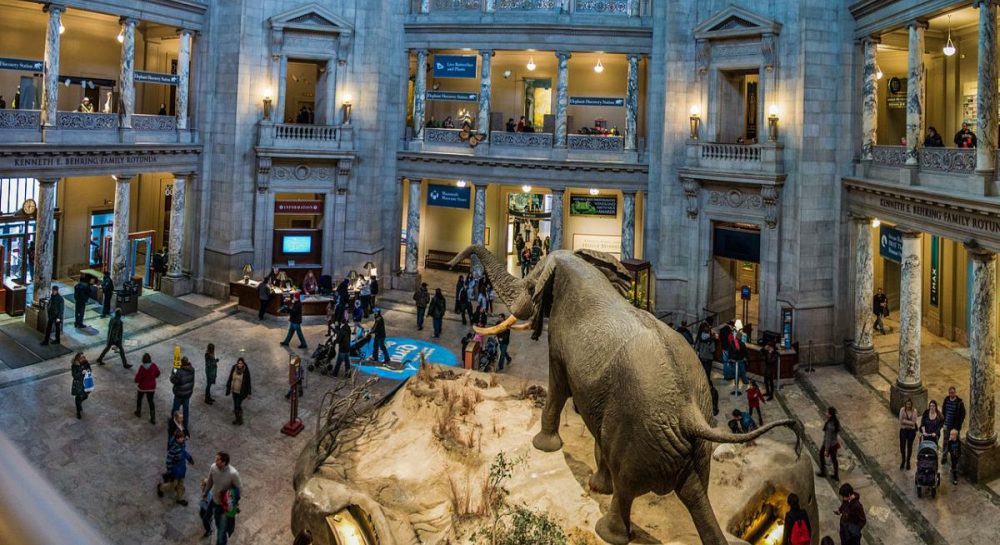 museums