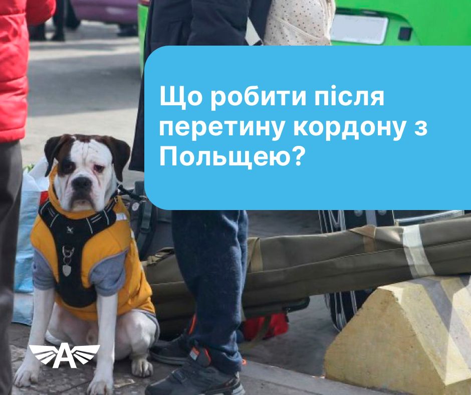 Що робити після перетину кордону з Польщею?
