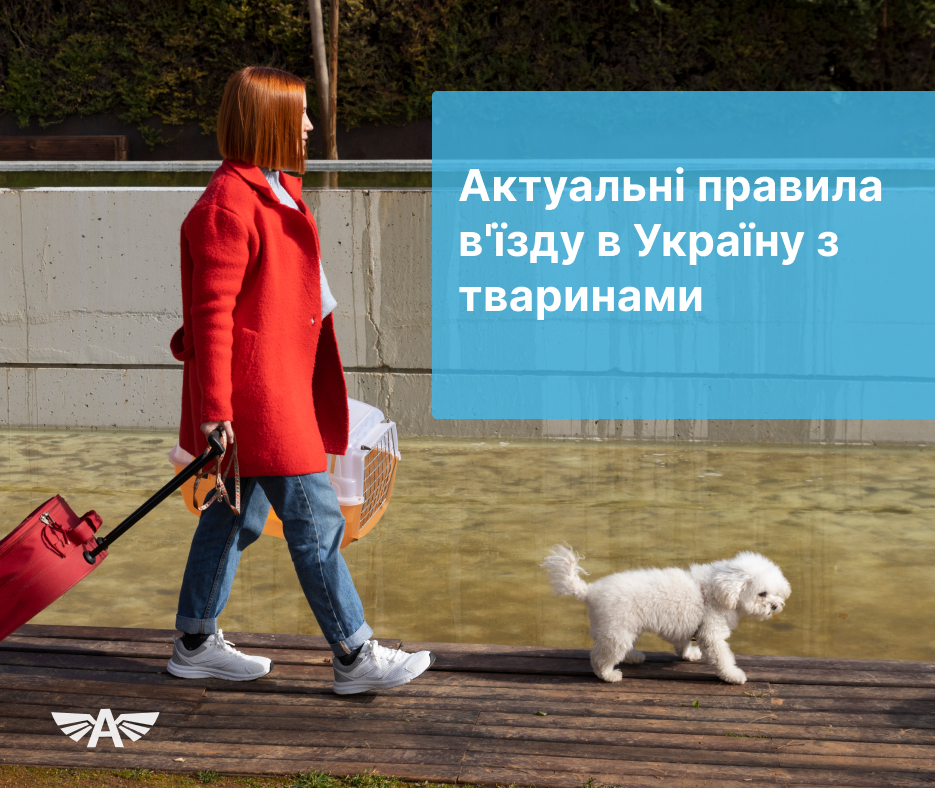 Актуальні правила в'їзду в Україну з тваринами